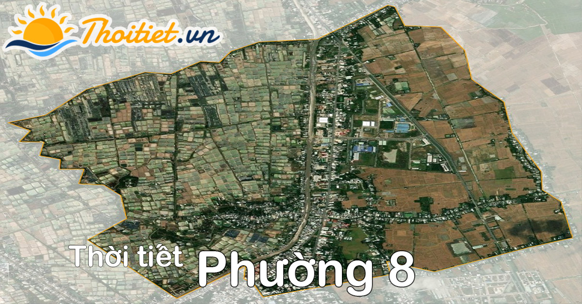 Dự báo thời tiết Phường 8